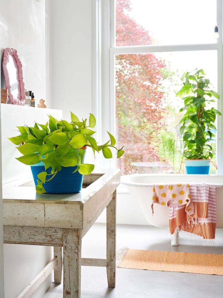 TC_ss22_PV_BB_Epiprenum_3_3LOW