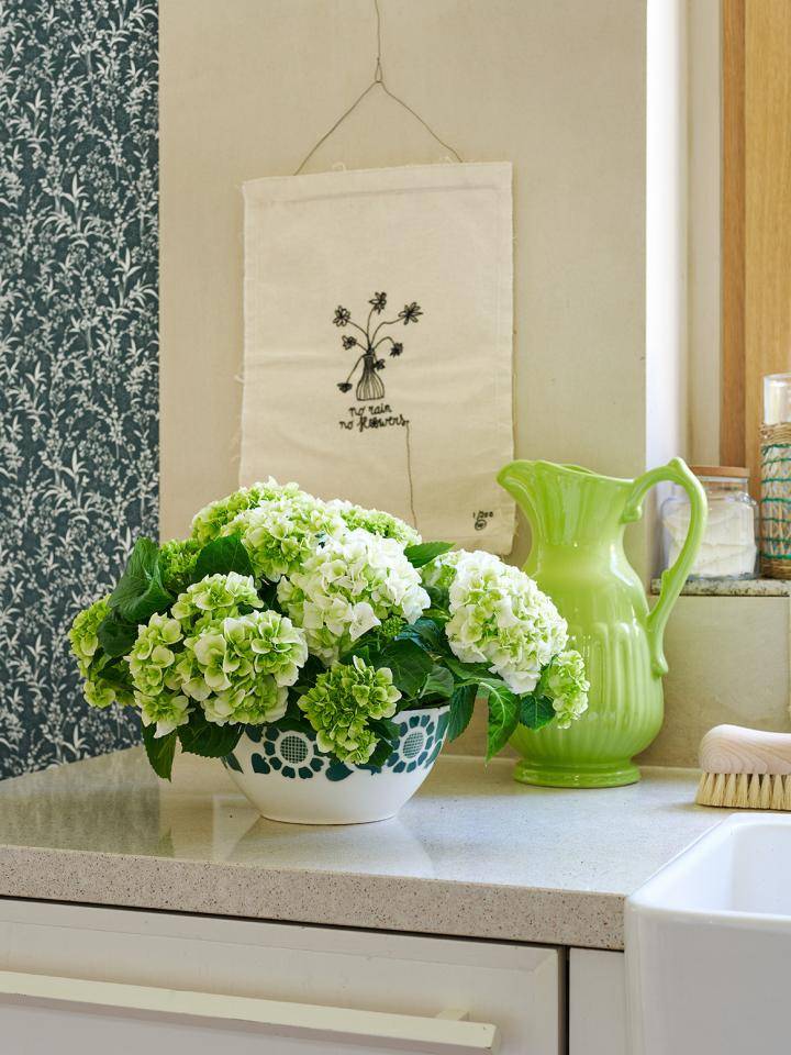 TC ss23_CM-PV_Hortensia_3-3_MED