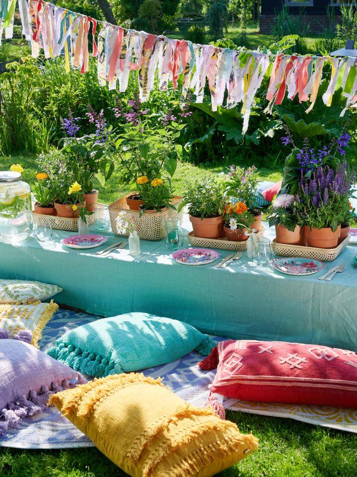 TCss22_PV_BB_Salvia_1a_3MED