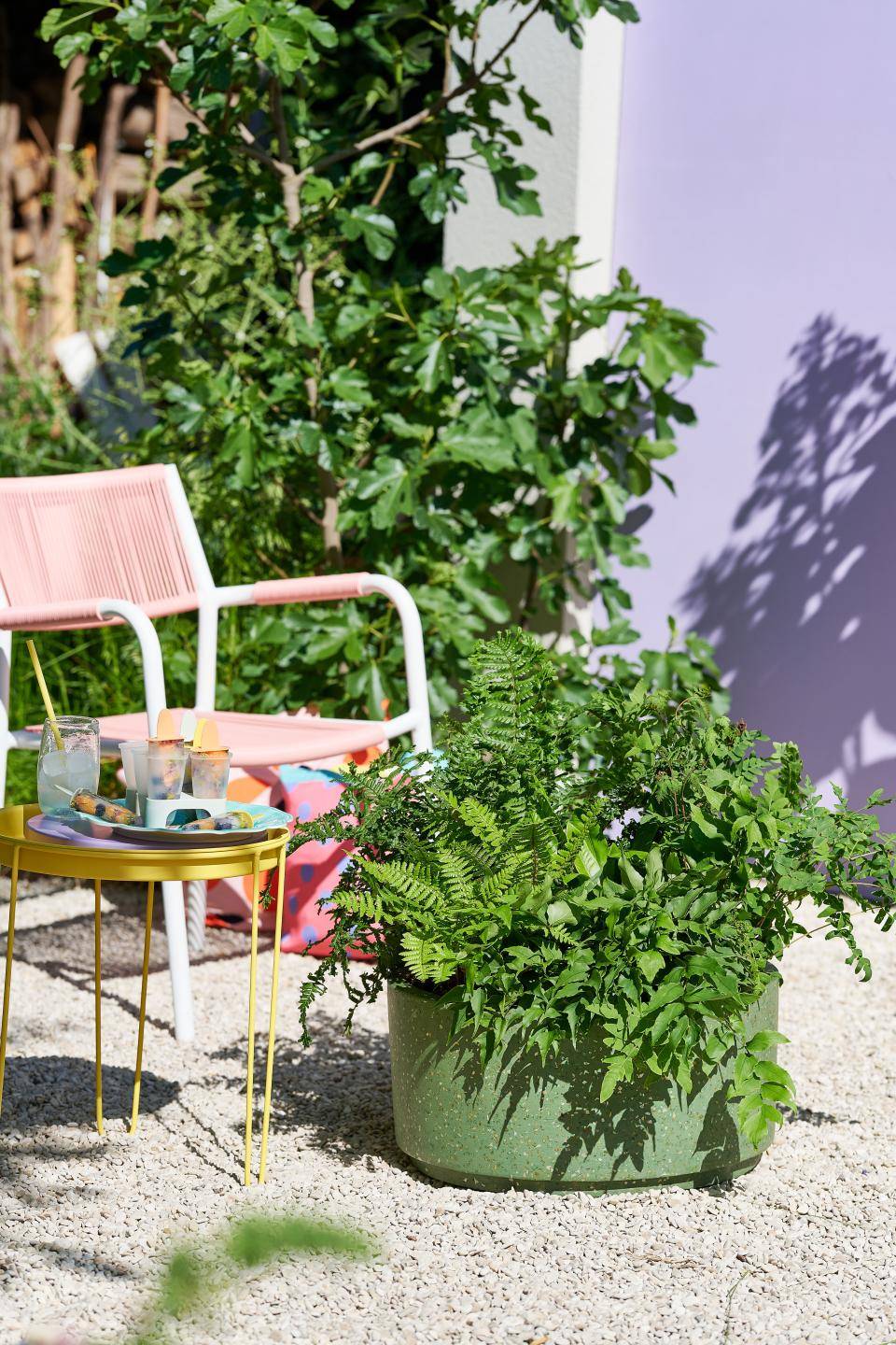 TCss22_PV_BB_Varens_2_3LOW