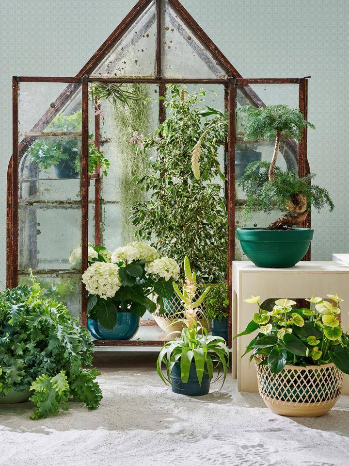 TCss23__CV__CM_Planten_3_LOW