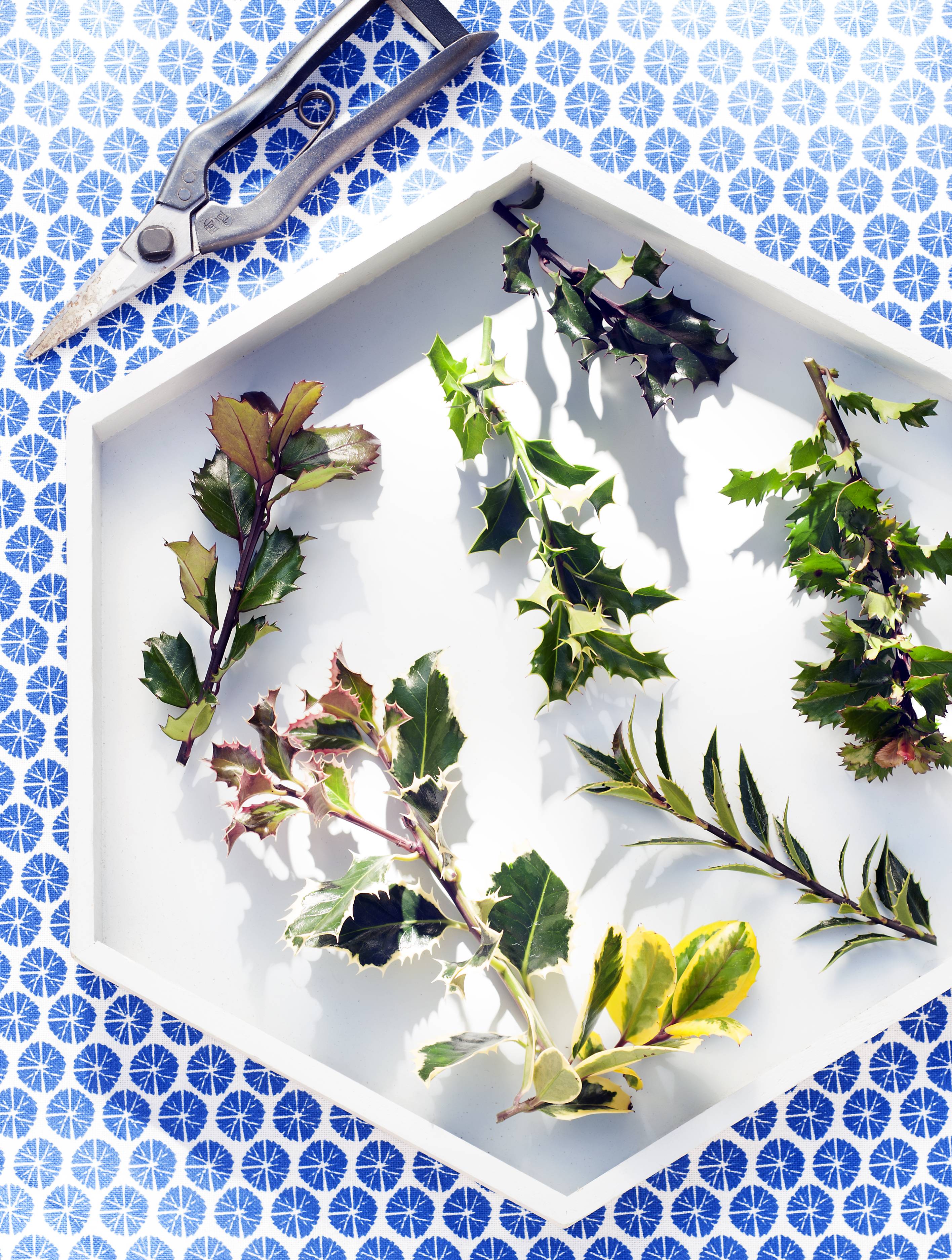 Hulst stekjes op tafel