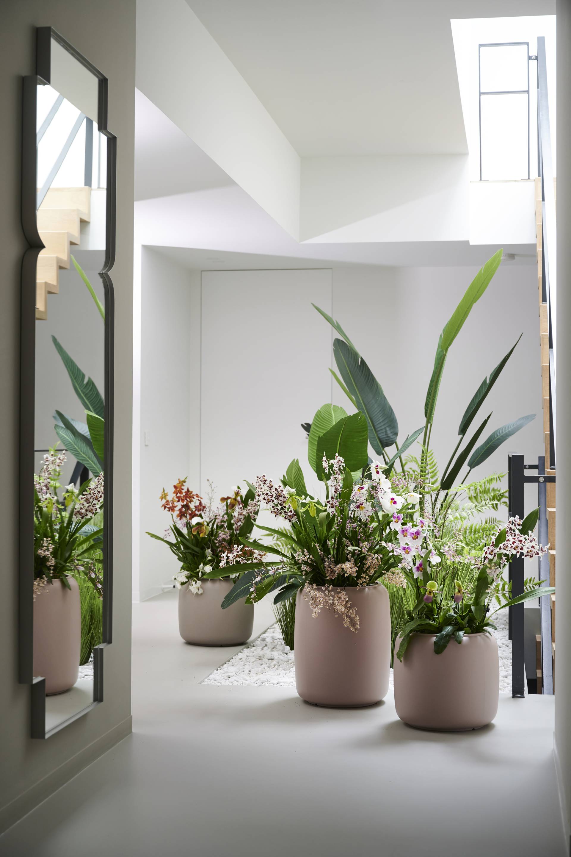Trendcollectie_herfst 2020 _orchidee _3_