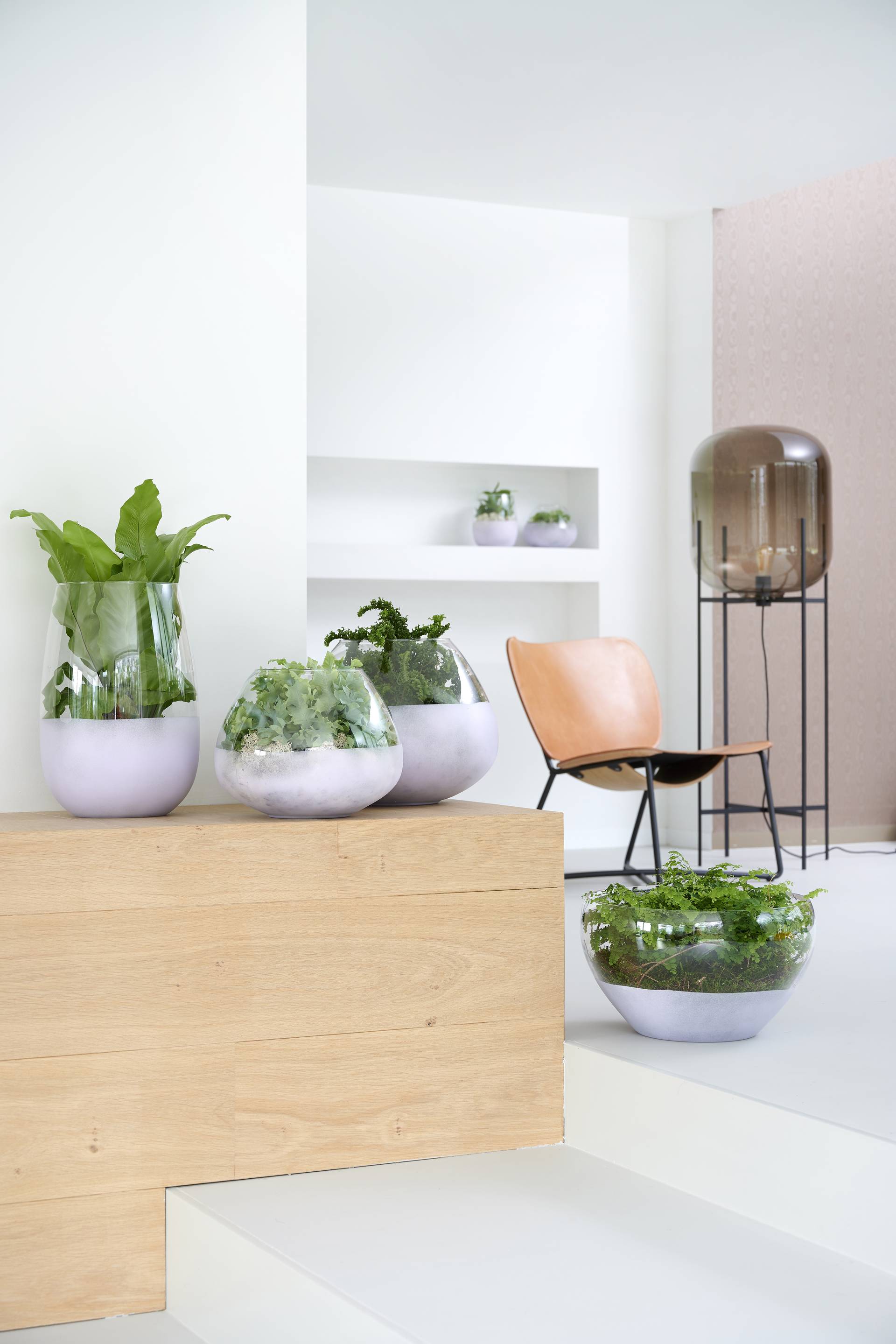 Trendcollectie_herfst 2020 varens_MED