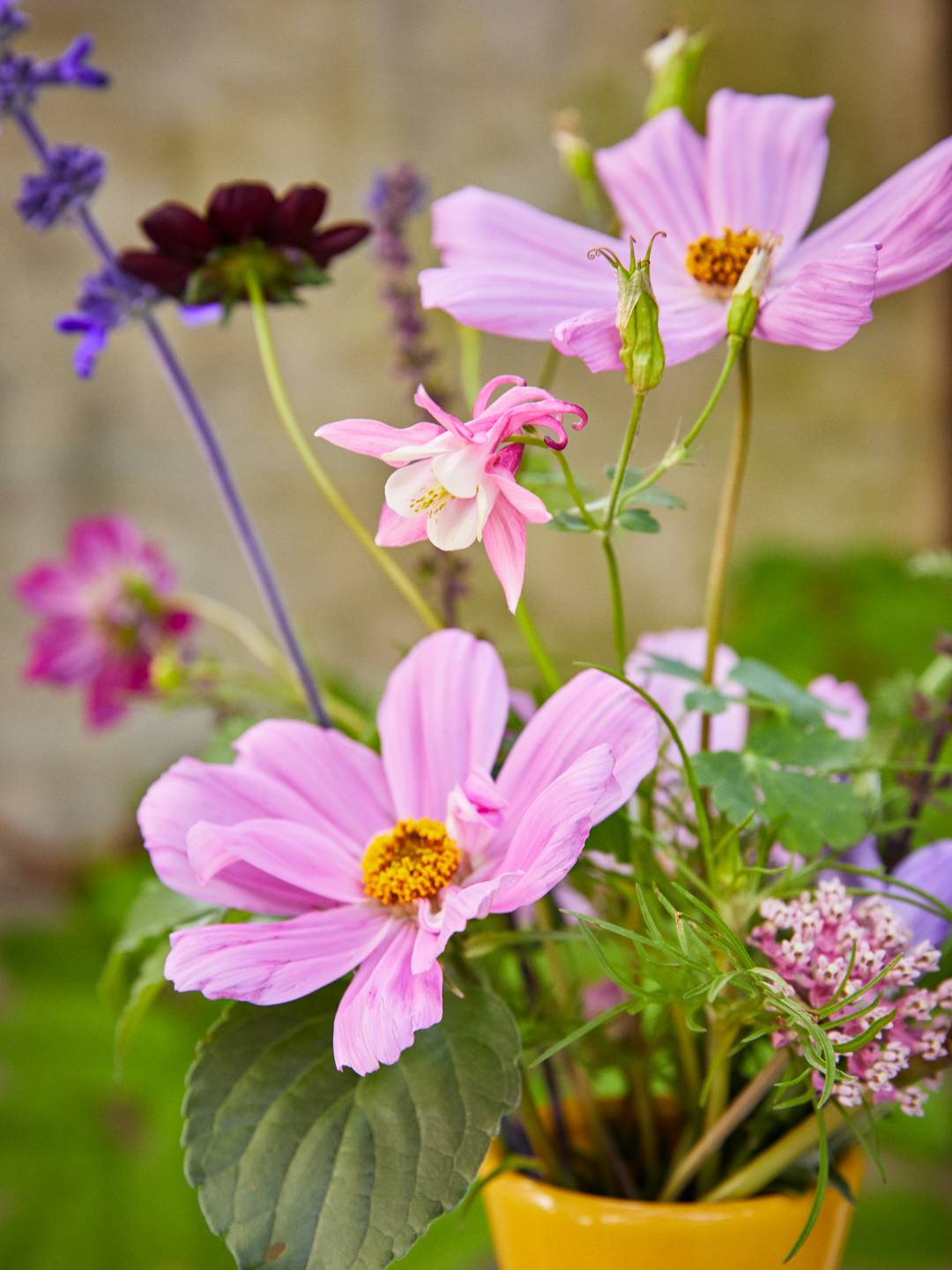 Straurezept: Bunter Blumen-Pflanzen-Mix - Plants & Flowers Foundation