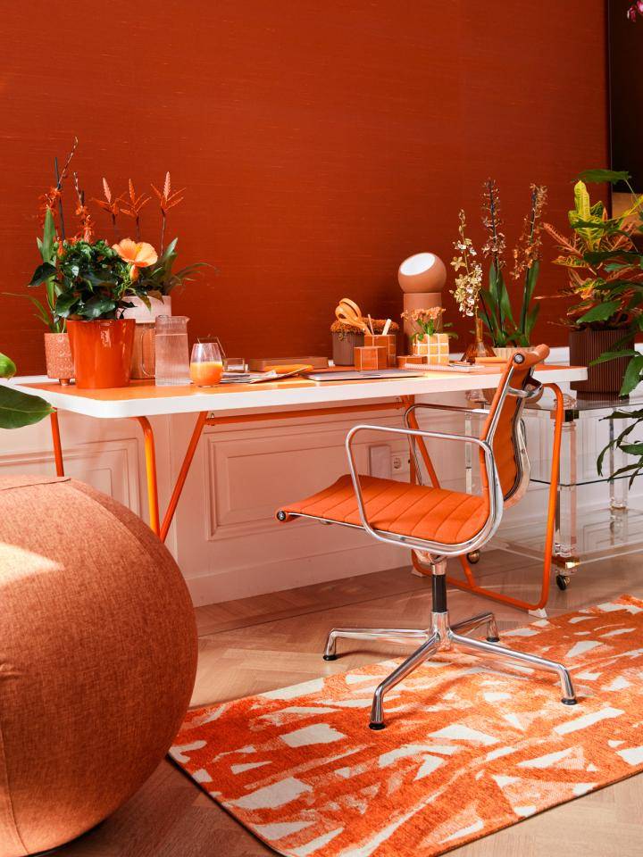 Website_Orange_0W6A0985 (1)_0