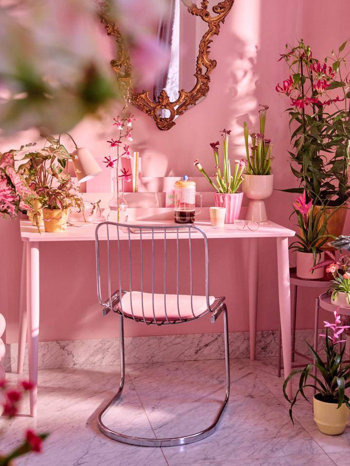 Website_Pink_0W6A1582 (1)_0