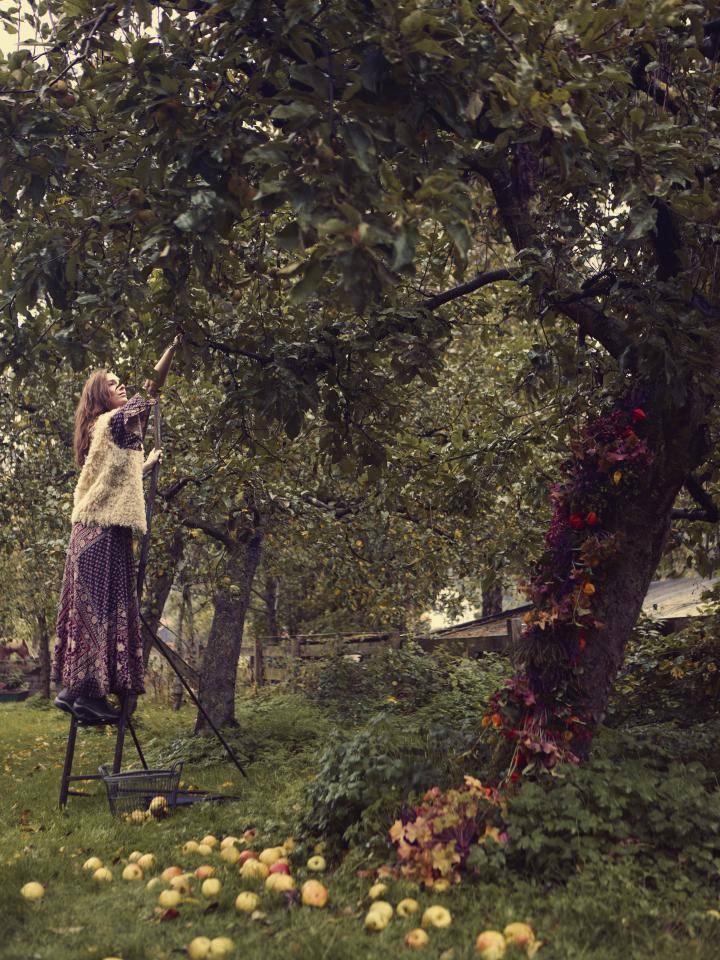 _Bloemen Bureau Holland 2022-10-20_05__B3A6271 b