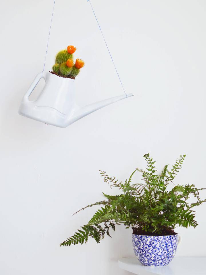 alternative-plant-pots