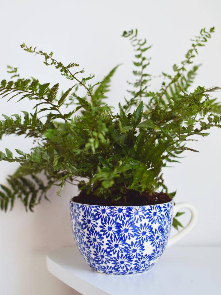 alternative-plant-pots2_0