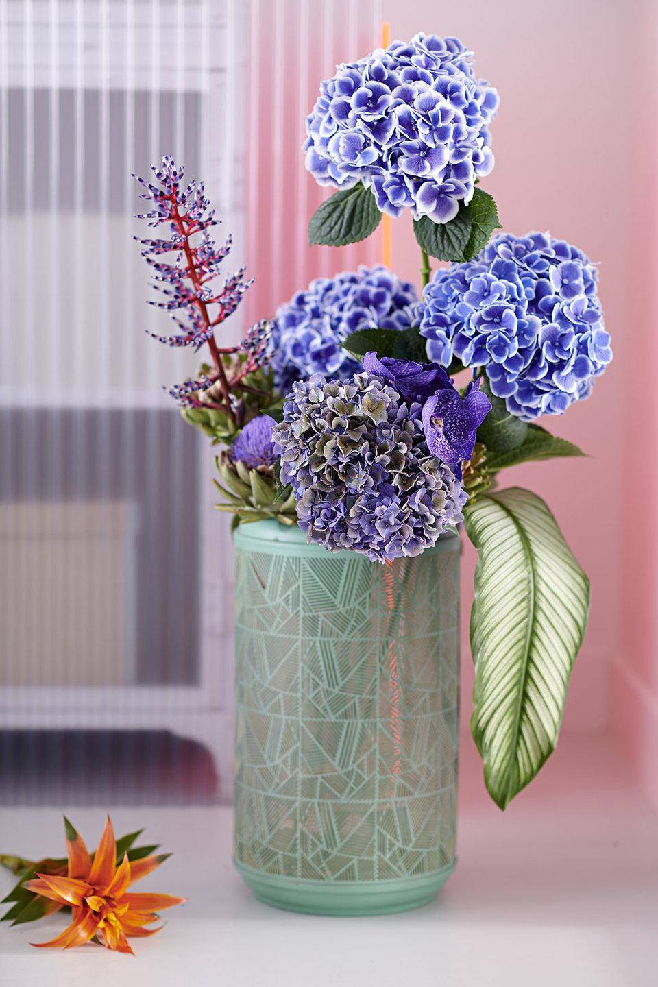 b8-hydrangea_2019_3_lowres (1)