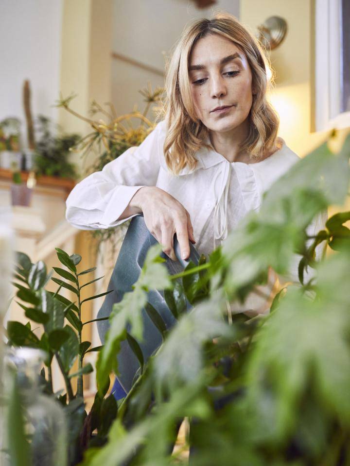 bbh_plantmasters_no3_001_0