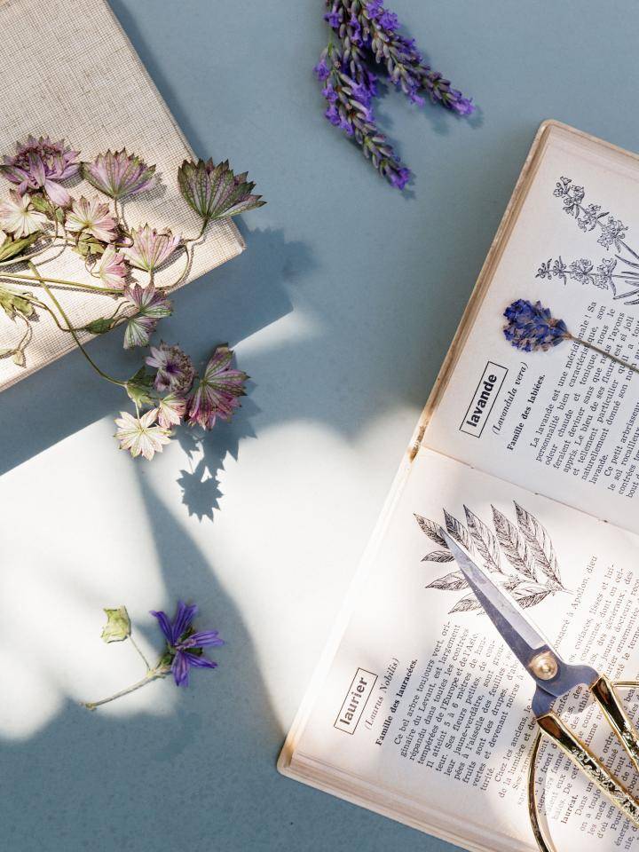 Boek met gedroogde planten zoals lavendel