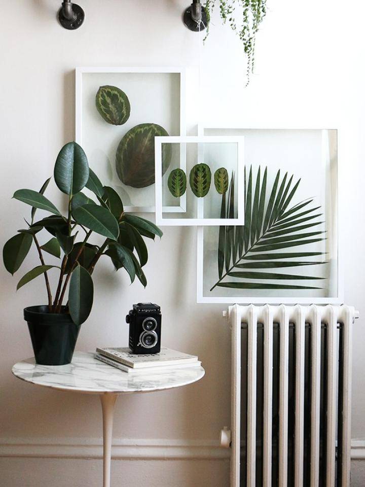 Diy planten in lijsten