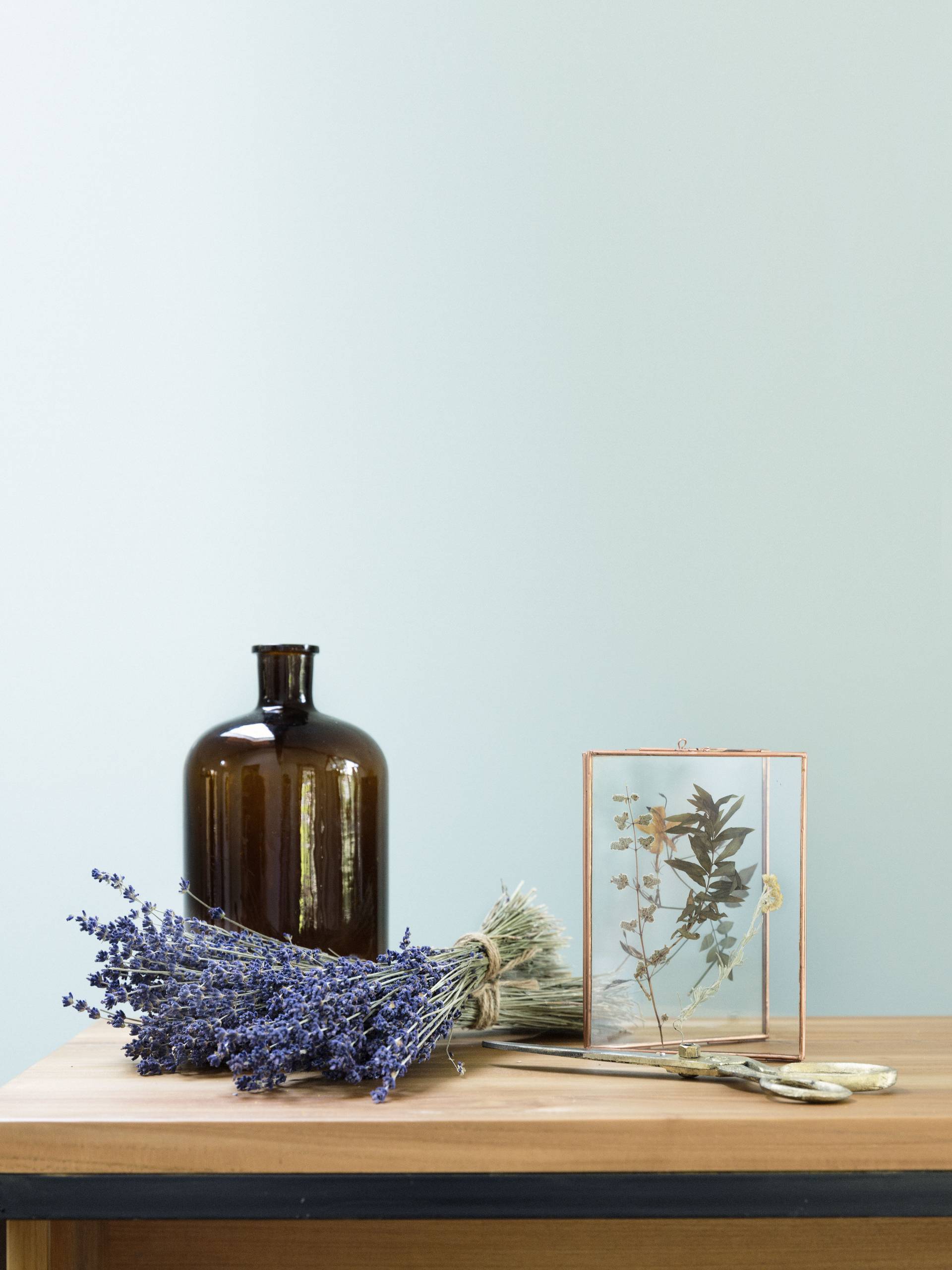 droogbloem_49A0265 (1)