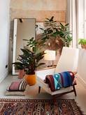 grandes plantes interieur