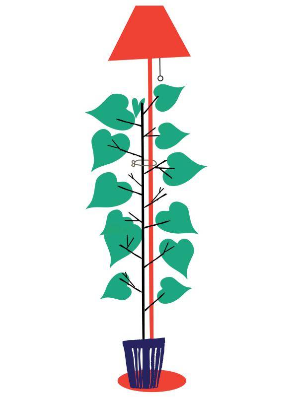 Illustratie van een kamerplant