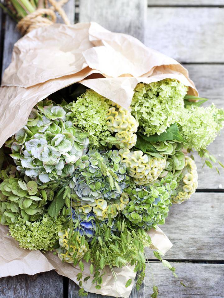 Hortensiaboeket in papier