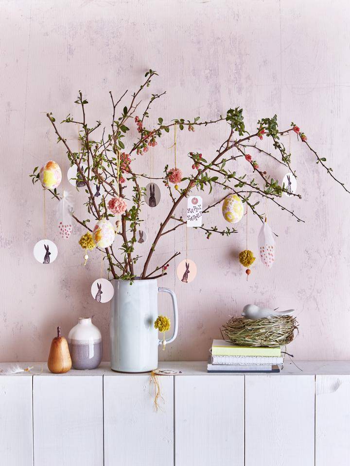 Paastak van Chaenomeles x superba