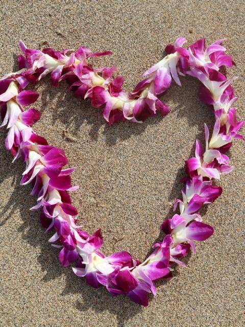 lei krans hawaii