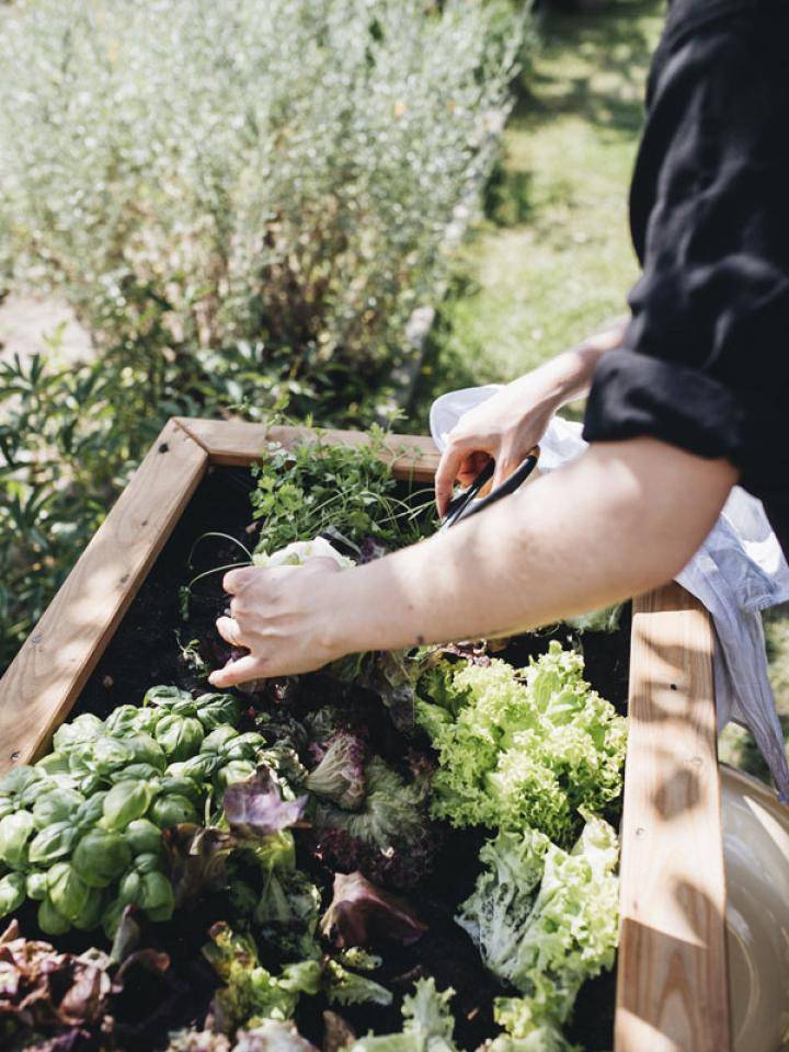 moestuinieren cadeau