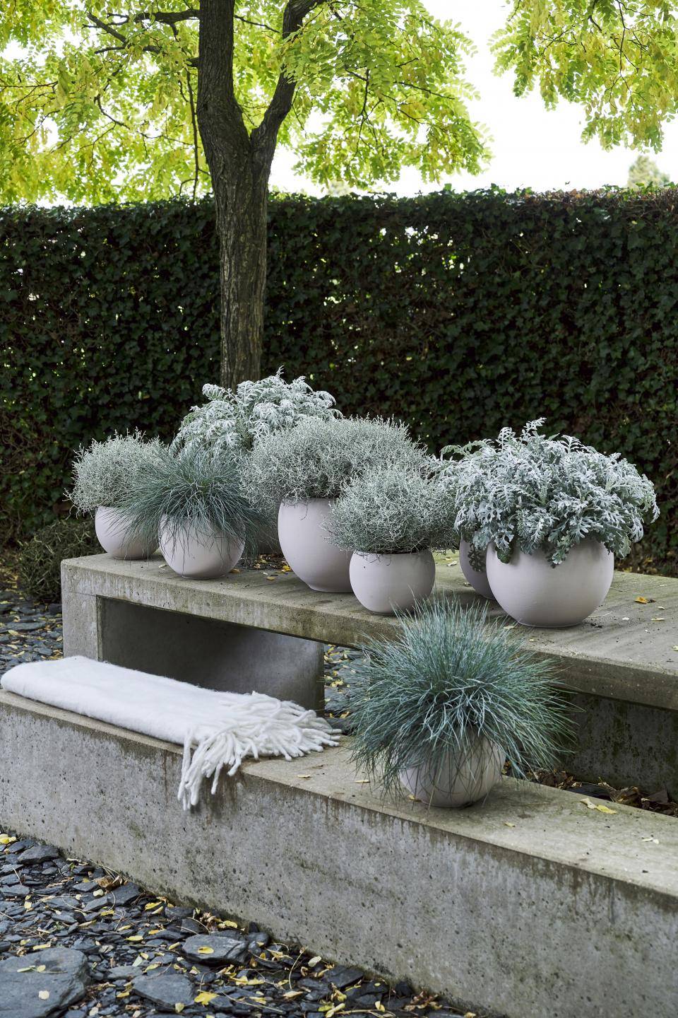 Mooi grijs is niet lelijk