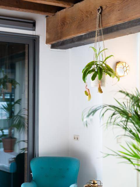 mwpd-hangplanten-lr-1583_2