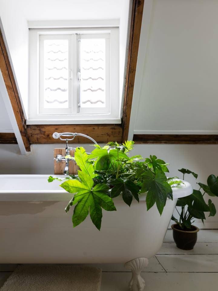 nr-mwpd-wishlist-lr-7321