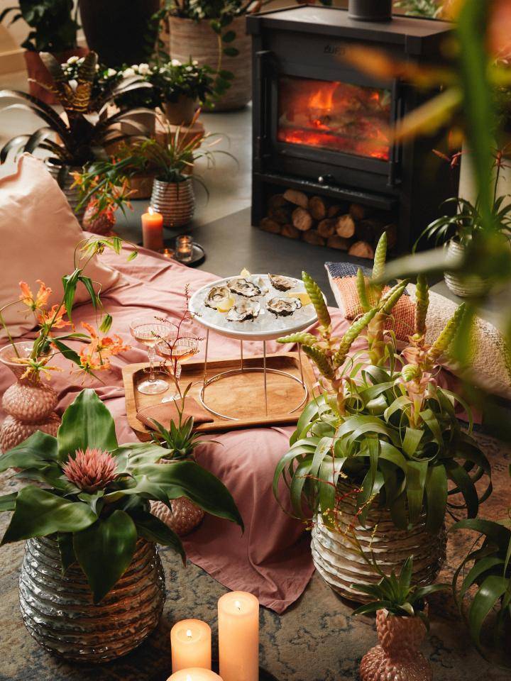 plantenpicknick romantisch cadeau