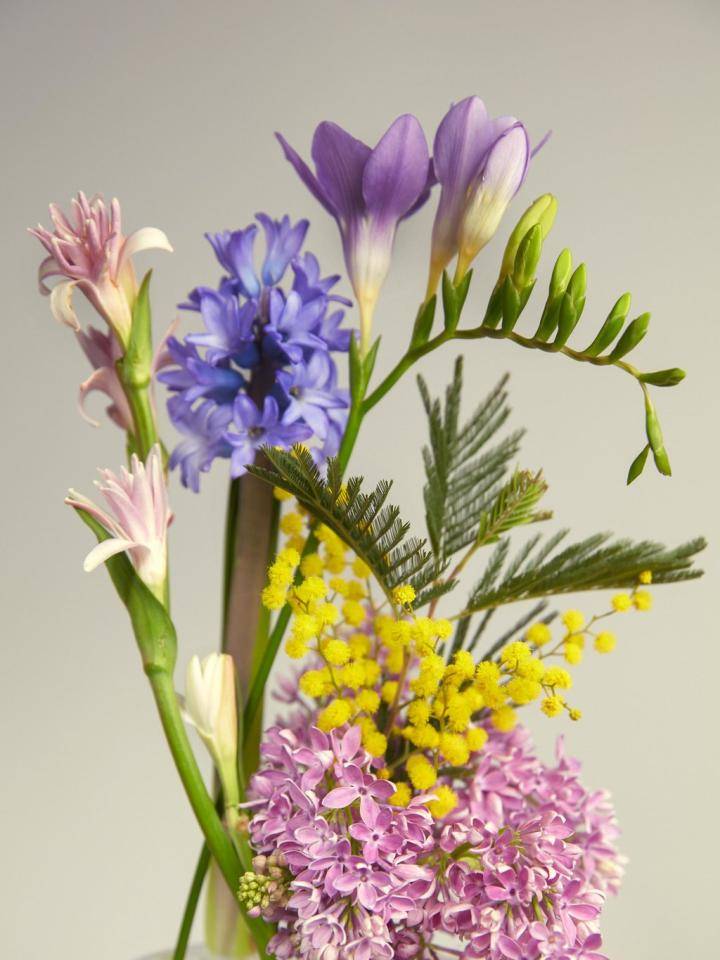 Lente bloemen die geuren