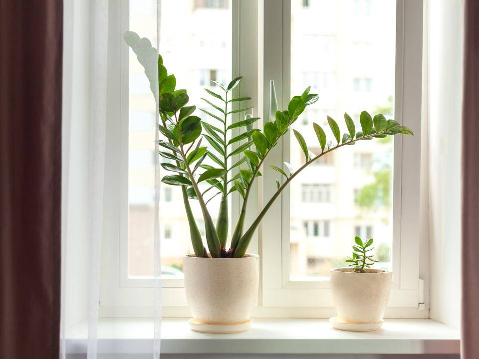 shutterstock_1765905212