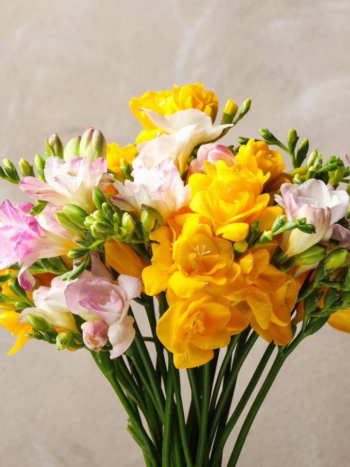 Boeket van freesia's