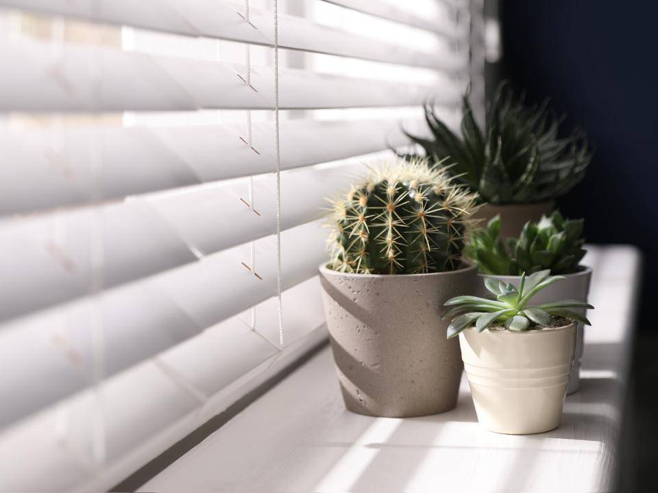 shutterstock_1873716118