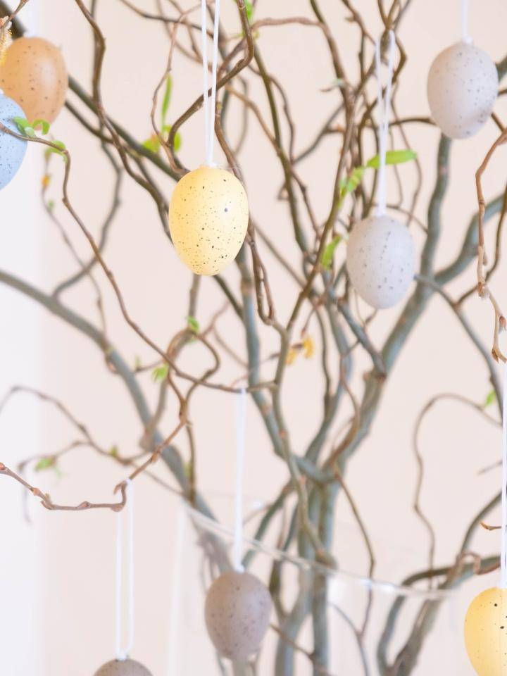 Paastak van wilgentak