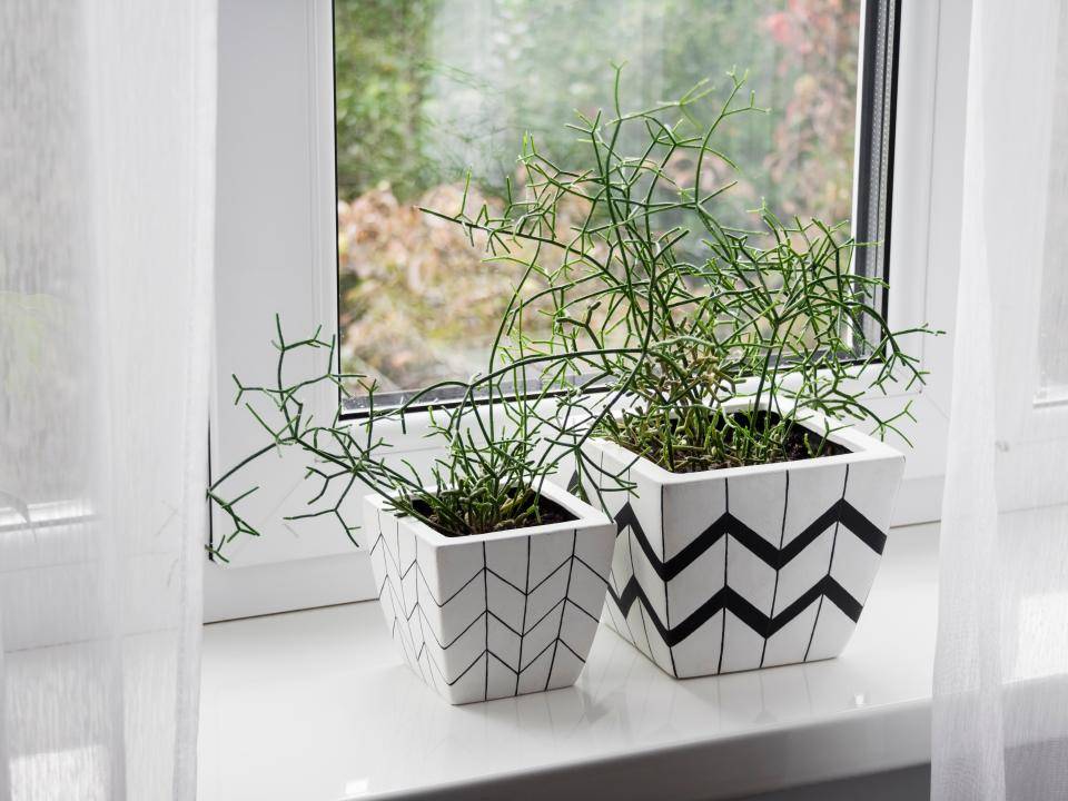 shutterstock_2057237201