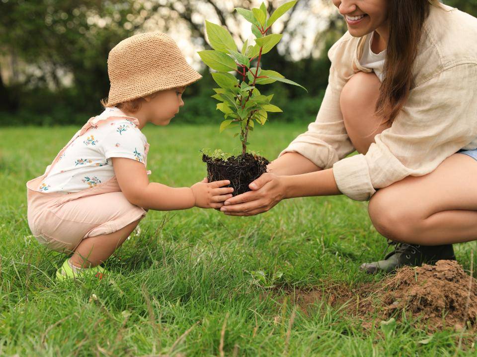 shutterstock_2256104893