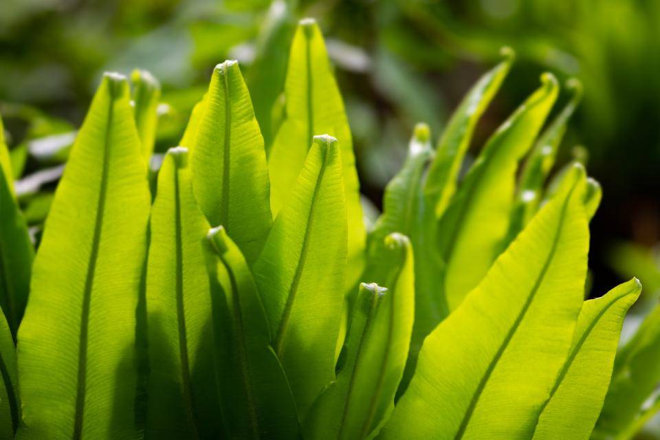 shutterstock_2313128573