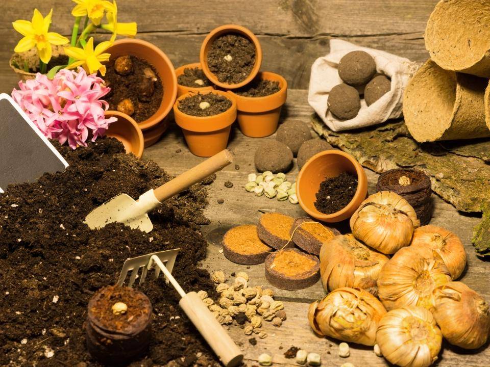 shutterstock_597596213