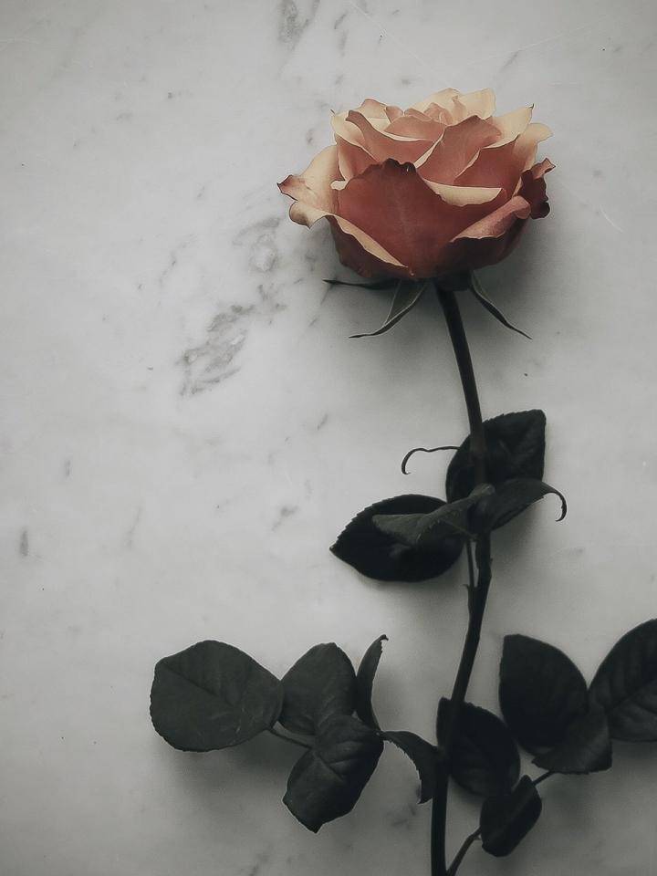 QGJNSGC Roze bloem aandenken urnen voor menselijke as, herdenking urn medaillon, lange steel kleurrijke rozenbloem crematie urn, begrafenis urn voor as volwassenen crematie aandenken voor as
