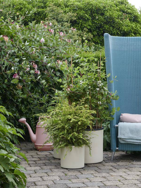 t6_kamperfoelie_1apreview