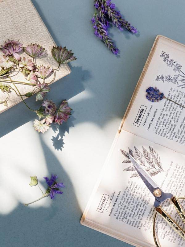 Teken hoe je tuin er uitziet