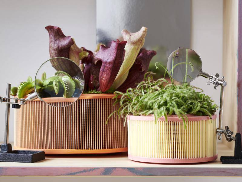 w9_vleeseter_2019_3_lowres