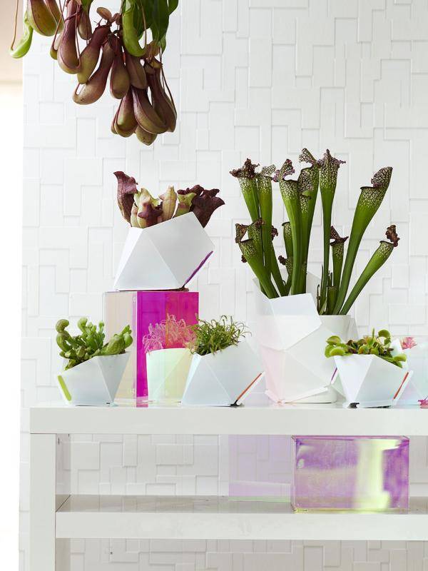 w9_vleeseter_2019_c_lowres_0