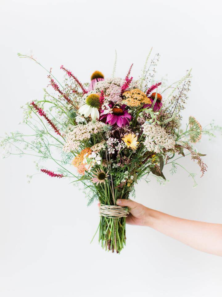 wildflower_shoot-0171